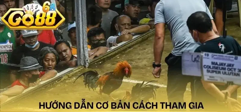 cach-choi-da-ga-online-huong-dan
