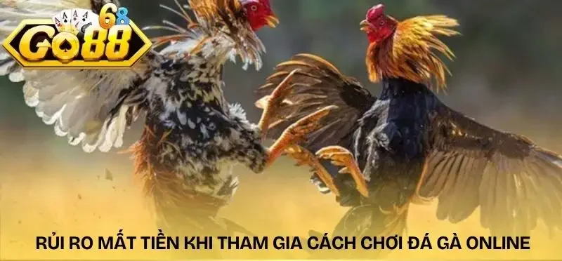 cach-choi-da-ga-online-rui-ro-mat-tien-oan