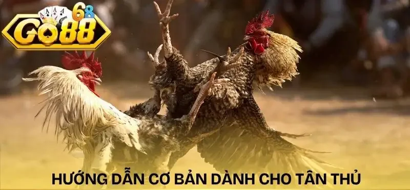 da-ga-go88-huong-dan-tan-thu