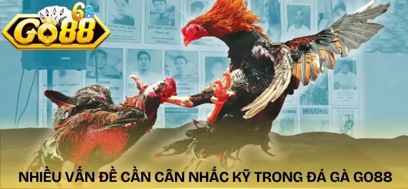 da-ga-go88-nhung-van-de-nan-giai