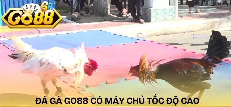 da-ga-truc-tiep-hom-nay-may-chu-toc-do-cao