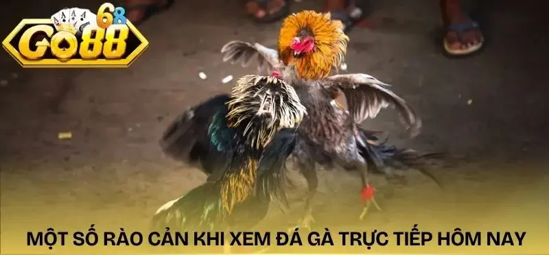 da-ga-truc-tiep-hom-nay-rao-can-khong-tron-ven