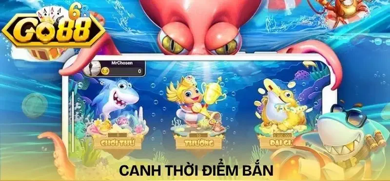 meo-ban-ca-hieu-qua-canh-thoi-diem-vang