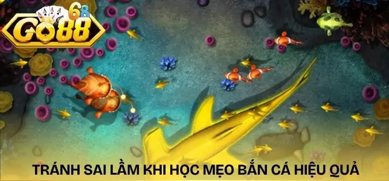 meo-ban-ca-hieu-qua-nhung-sai-lam